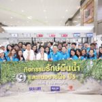 ซีไลฟ์ แบงคอก หัวใจอนุรักษ์ ลุยป่าโกงกาง พายเรือเก็บขยะ-คลีนนิ่งบ่อเต่าทะเล