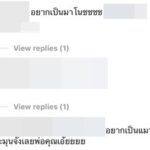 ซันนี่ กอดรัดฟัดเหวี่ยง เหมียวข้างบ้านตัวโปรด สาวๆ พร้อมใจบอก...อยากเป็นแมว