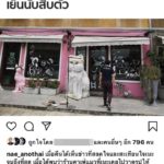 สะเทือนใจ! ศิลปินสาว เนะ อโณทัย เห็นข่าวคาเฟ่ที่เคยไปวาดรูปทารุณแมว
