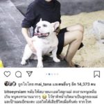 ใบเตย-สุธีวัน โพสต์เศร้า น้องหมาเสียชีวิต “ไว้ชาติหน้าเกิดมาเป็นลูกแม่”