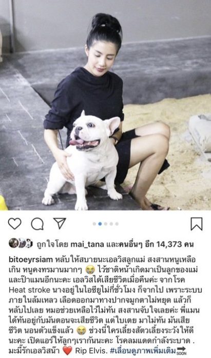 ใบเตย-สุธีวัน