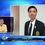 แฉเบื้องหลัง! คาเฟ่นรก จับแมวพิการมาผสมพันธุ์กัน ยิ่งน่าเกลียดยิ่งราคาสูง