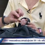แฉเบื้องหลัง! คาเฟ่นรก จับแมวพิการมาผสมพันธุ์กัน ยิ่งน่าเกลียดยิ่งราคาสูง