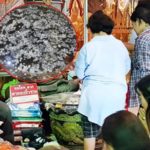 รวมหวยเด็ด เลขคำชะโนด หวยนายกฯ-เลือกตั้ง เลขฤาษีเณร- หวยคนดัง ลุ้นรวยหนักงวดนี้