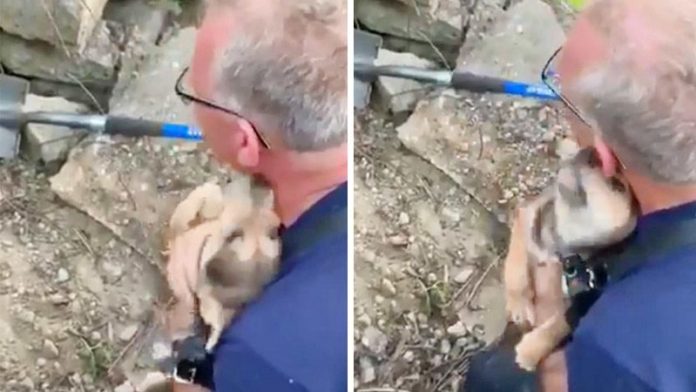 หมาน้อยสุดซาบซึ้ง!