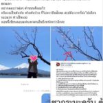 จวกพิธีกรหนุ่มคนดัง ใช้ต้นซากุระดึงข้อเล่น ชาวเน็ตเตือน อ้างแค่ต้นไม้ข้างทาง!