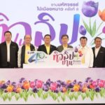 ทุ่งทิวลิป กว่า 120,000 ดอก บานสะพรั่งสลับสี สุดตระการตรา