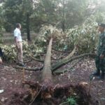 สัญญาหน้าฝน! พายุมาตามนัด พัดถล่มศรีสะเกษ 7 หมู่บ้านอ่วม พังยับเยิน