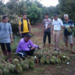 สัญญาหน้าฝน! พายุมาตามนัด พัดถล่มศรีสะเกษ 7 หมู่บ้านอ่วม พังยับเยิน