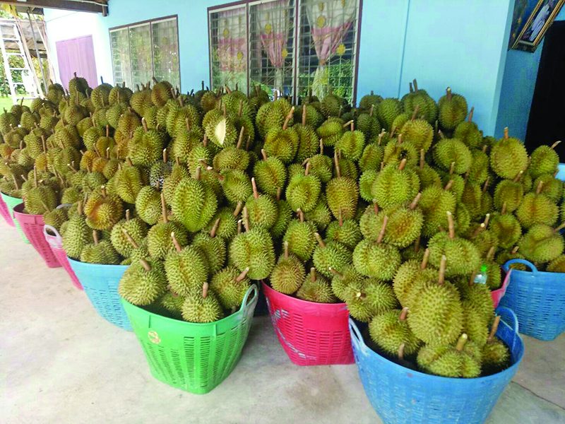 พาณิชย์