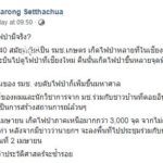 นักวิชาการ สงสัยไฟป่าเชียงใหม่ มีการเมืองหรือไม่ ยกเหตุการณ์ 22 ปีที่แล้ว ไฟพุ่ง งบเพิ่ม