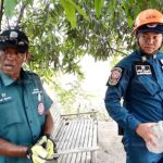 สุดทรมาน! ‘เจ้าตัวเล็ก’ หมาจรจัดหัวติดขวดโหล 5 วันเดินโซเซตัวซูบผอม