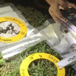 ไฟใต้ลุกโชนอีก! ขว้างระเบิด-ยิงเอ็ม79 ถล่มจุดตรวจตูมสนั่น ป่วนทั่วยะลา(คลิป)