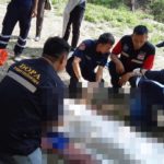 ลำปางพายุแรงมาก ชายเก็บเห็ดนั่งหลบฝน โดนต้นไม้ทับเสียชีวิตคาที่