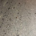 ประธานสภาอบต.ท่าธง ขี่ชอปเปอร์กลับจากละศีลอดกับแม่ ถูกคนร้ายลอบยิงดับ