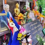 พ่อปู่ดลใจให้มา คำชะโนด คึกคัก แห่ส่องเลขขันน้ำมนต์-ต้นไทรล้มเจอจะๆ 2 ตัว