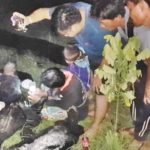 ชาวบ้านแห่ทำพิธีขอหวย "แม่ย่าตะเคียนทอง" เลขโผล่ชัด ฮือฮาถ่ายรูปเห็นภาพหน้าคน
