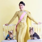 รวมลุคเจ้าฟ้าสิริวัณณวรีฯ ฉลองพระองค์ชุดไทยพระราชนิยม สะกดสายตาพสกนิกรทั่วหล้า