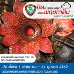 เช็กเลย! กรมอุทยานฯ ประกาศปิดแหล่งเที่ยวทั่วไทย ช่วงฤดูมรสุม