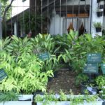ท่องเมืองสมุนไพร บ้านเล่าเรื่องปราจีนบุรี : สดจากเยาวชน