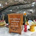 ไม่ขาดสาย!แห่ขอหวย ตะเคียนยักษ์ 300ปี หลังพายุซัดโค่น เลขดังขายเกลี้ยงแผง