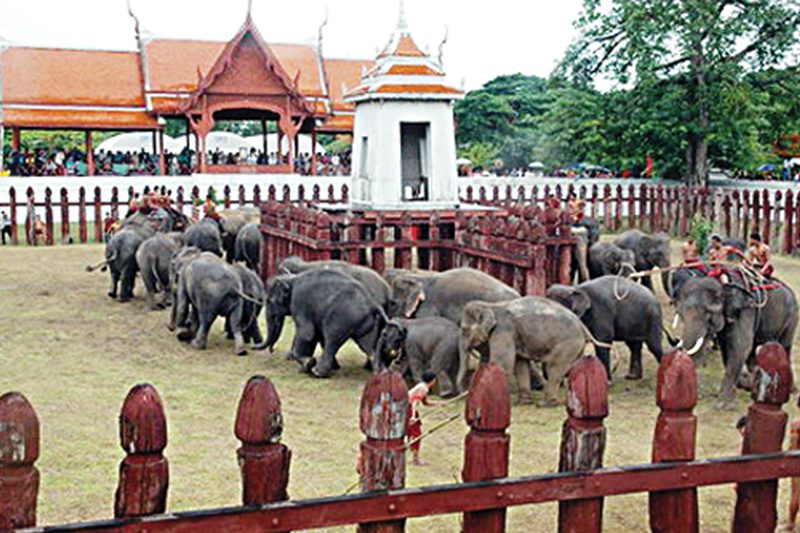 เพนียดคล้องช้าง