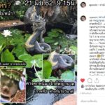 ชวนขนลุก! เอ พศิน ไหว้องค์พญานาคในบ้าน ถ่ายติดใบหน้าปริศนา?