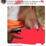 เสื่อมสุดๆ ภาพว่อนหลวงพี่สายเหลือง อมนกเขาเด็กวัด รุมจวก-จี้สอบไม่เหมาะสม