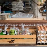 สารคดีเสียงจากแผ่นดิน “ผักสดแก้มลิงหนองเลิงเปือย” ปลอดสารได้มาตรฐาน GAP.
