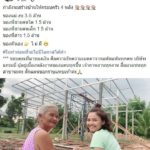 ตั๊กแตน ทุ่มสุดตัว! สร้างบ้านใหม่ให้แม่-พี่ๆ ถึง 4 หลังรวด ใช้เงินนับ 10 ล้าน