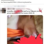 เสื่อมสุดๆ ภาพว่อนหลวงพี่สายเหลือง อมนกเขาเด็กวัด รุมจวก-จี้สอบไม่เหมาะสม