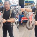 แจ้งหมองูเมืองสุราษฎร์ไปปราบ! ชาวบ้านผงะงูเห่าตัวเบ้อเร่อ ดุร้ายส่งเสียงขู่ไม่ให้เข้าใกล้(คลิป)