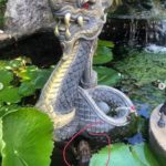 ชวนขนลุก! เอ พศิน ไหว้องค์พญานาคในบ้าน ถ่ายติดใบหน้าปริศนา?