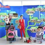 เซเลบ4ขาแน่นงานข่าวสด สมทบทุนทำหมันหมาแมวในวัด แตะหลักแสน