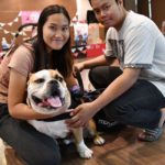 เซเลบ4ขาแน่นงานข่าวสด สมทบทุนทำหมันหมาแมวในวัด แตะหลักแสน
