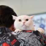 เซเลบ4ขาแน่นงานข่าวสด สมทบทุนทำหมันหมาแมวในวัด แตะหลักแสน
