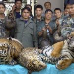ทส.เจ้าภาพประชุมสุดยอดอาเซียน หวังผลักดันเป็นผู้นำอาเซียนด้านทรัพยากร