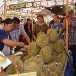 ทุเรียนภูเขาไฟ แพงสุดในโลก! เสี่ยศรีสะเกษ ทุ่มประมูลลูกละ 3 แสนบาท