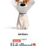 THE SECRET LIFE OF PETS 2 เรื่องลับแก๊งขนฟู 2