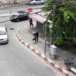 คนร้ายทำงานเป็นทีม รุมตี จ่านิว วงจรปิดจับนาทีเถื่อน ล่าตัวมารับโทษ!