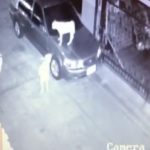 พีเค อึ้ง! เจ้านายรถถูกขูด-ขีดทั้งคัน เปิดกล้องวงจรปิดเจอหมาหมู่