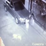 พีเค อึ้ง! เจ้านายรถถูกขูด-ขีดทั้งคัน เปิดกล้องวงจรปิดเจอหมาหมู่