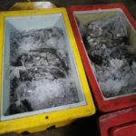 ‘บิ๊กโต้ง’ ลุยจับเรือประมงพม่าผิดกฎหมาย สั่งระดมแก้ปัญหา-สอดรับจุดยืนอาเซียน