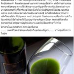 แชร์ว่อน! ไวน์กัญชา ดื่มแล้วไม่หลอน แต่ช่วยคลายเครียด-นอนหลับสบาย