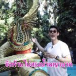 กันต์ ขอพรสำเร็จ กลับมาไหว้ คำชะโนด อีกครั้ง แห่ดูเทียนหยดเองในขันน้ำมนต์(คลิป)