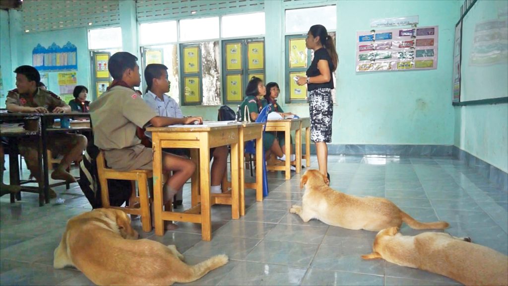 สามตูบในห้องเรียน