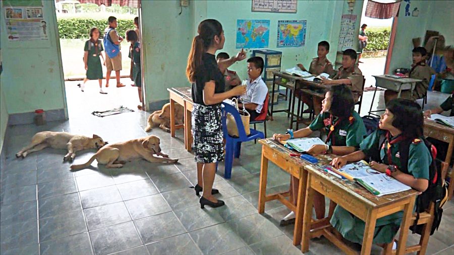 สามตูบในห้องเรียน