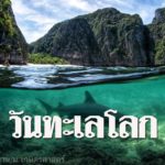 อ.ธรณ์ โพสต์ 5เรื่องดีในรอบปี เนื่องใน 'วันทะเลโลก' ดีใจคนไทยรักทะเลมากขึ้นกว่าเดิม