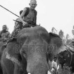 สิ้น หมอช้าง คนสุดท้าย ตำนานชาวกูยเลี้ยงช้าง ในวัย 98 ปี เผยประวัติกว่าจะมีวันนี้