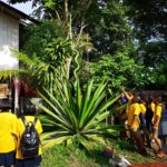ถูกกันยกหมู่บ้าน! เลขเด็ดต้นอากาเว่พญานาค เก็บไปฝันตีหวยออกตรงๆ แห่ไหว้